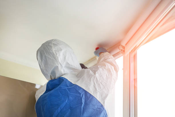 Best Emergency Mold Remediation  in Moraga, CA