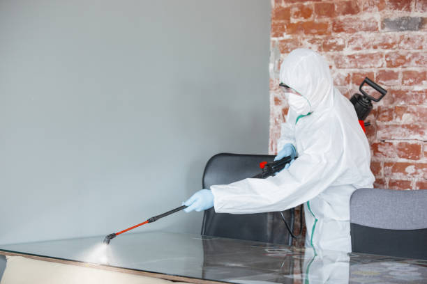 Best Mold Remediation for Healthcare Facilities  in Moraga, CA