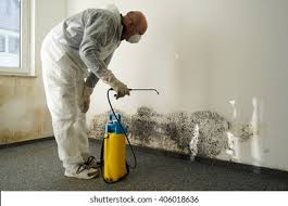 Why You Should Choose Our Mold Remediation Services in Moraga, CA